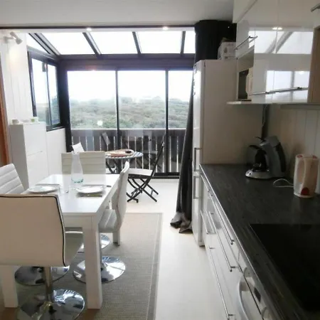 Seignosse, 2 Pieces, 4 Personnes - Fr-1-239-412 Apartment *